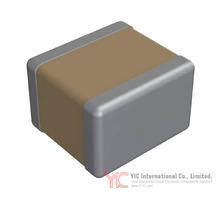 2225Y2000102KCT Image